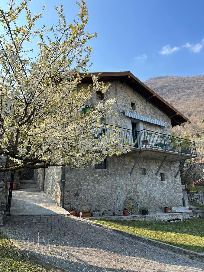 Greenlake House Tremezzina Tremezzo Εξωτερικό φωτογραφία